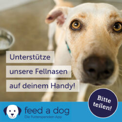 Feed a dog App – oder mit 1,50 € für leuchtende Tieraugen sorgen!