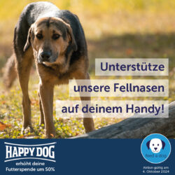 Happy Dog erhöht heute anlässlich des Welttierschutztags eure Futterspenden in der Feed a Dog App um 50%