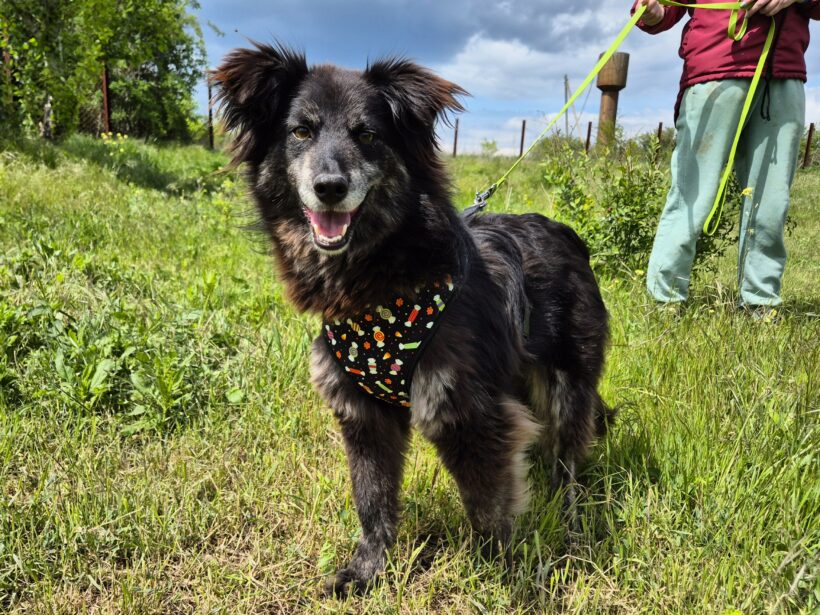 Berta