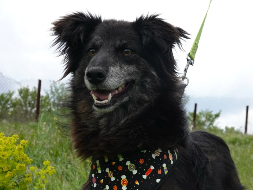 Berta