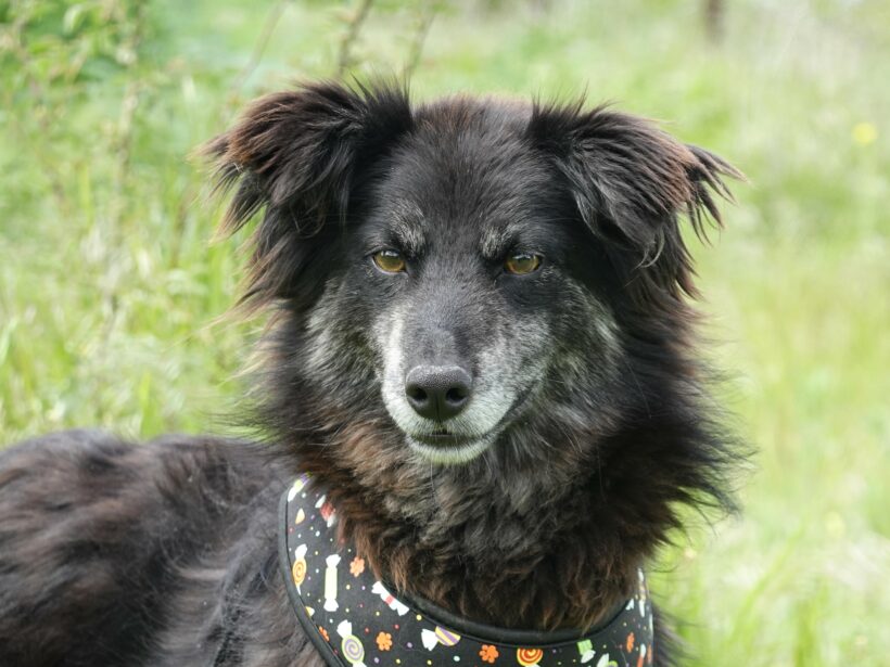 Berta