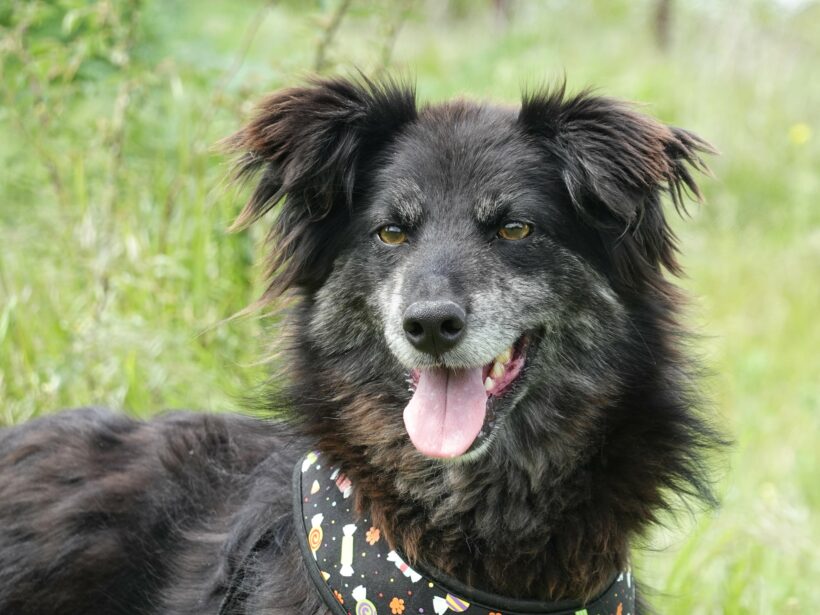 Berta
