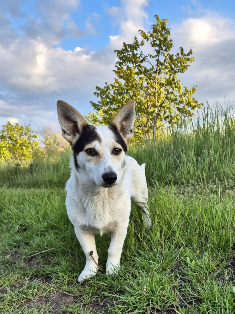 Mara & Max