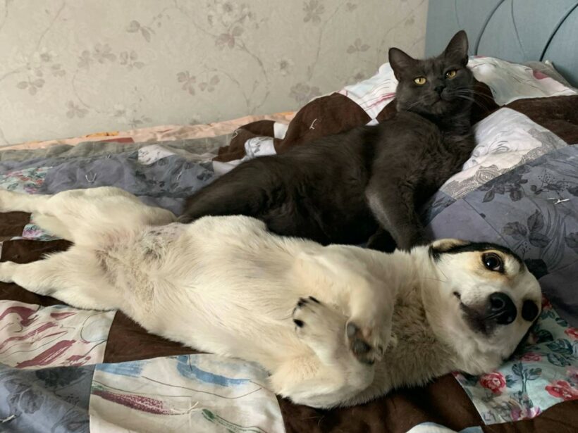 Mara & Max