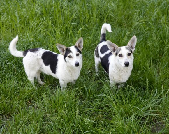 Mara & Max