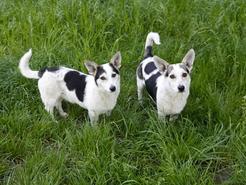 Mara & Max