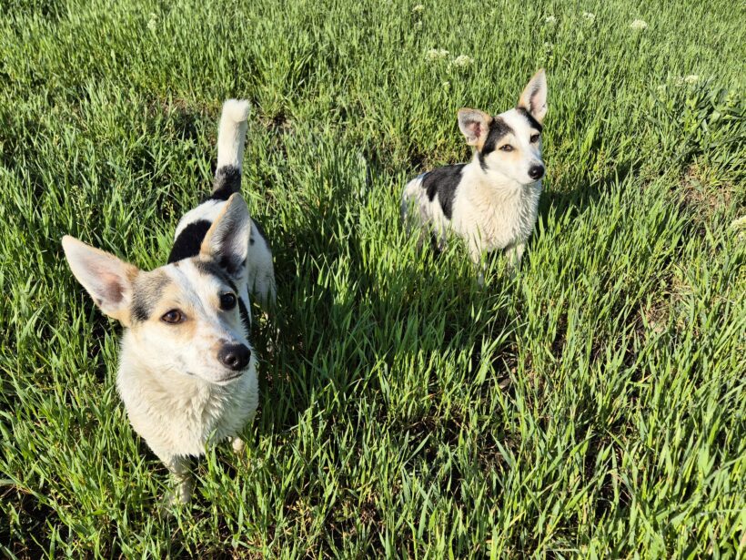 Mara & Max
