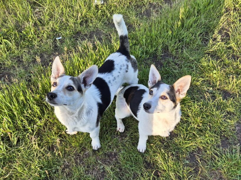 Mara & Max