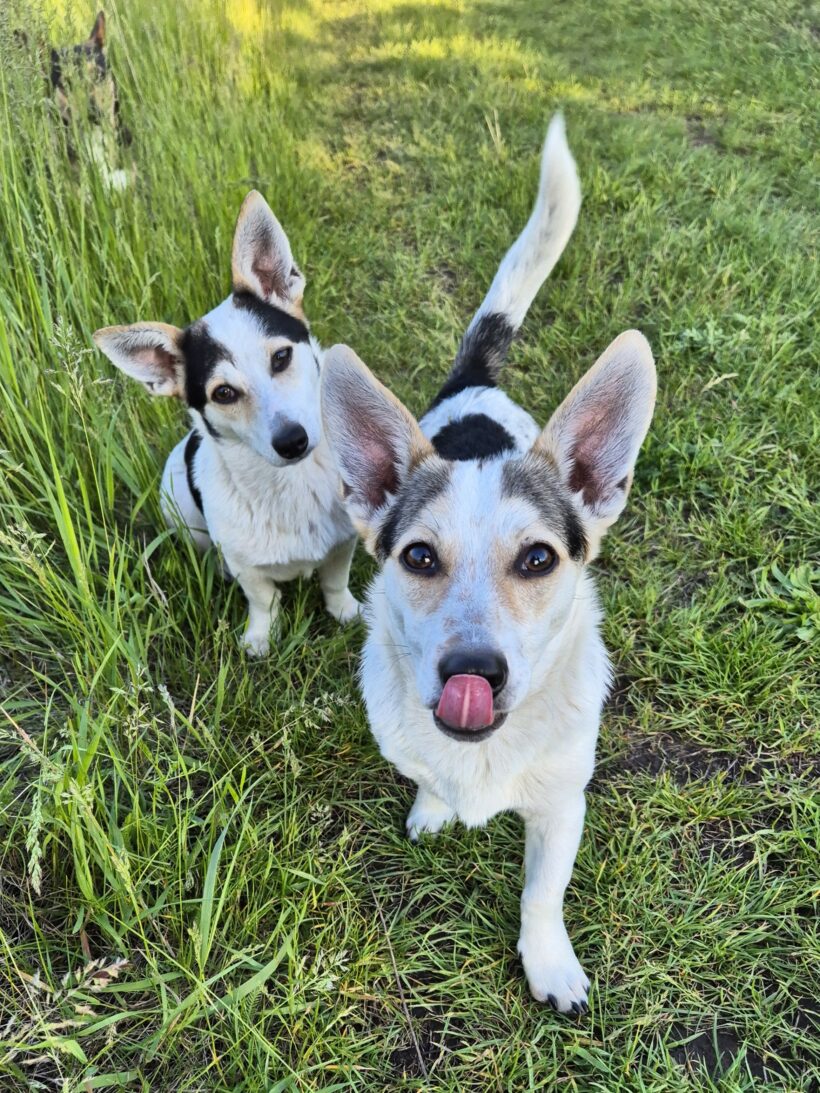 Mara & Max