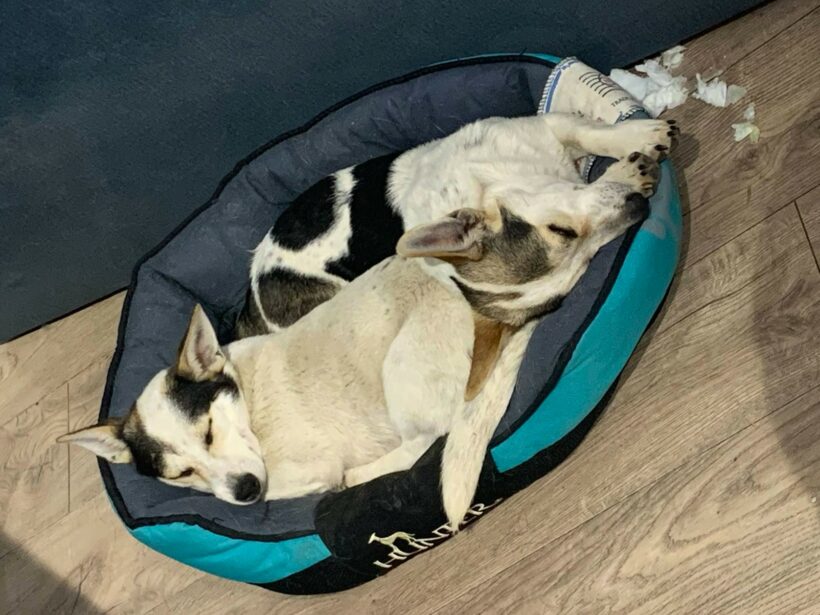 Mara & Max