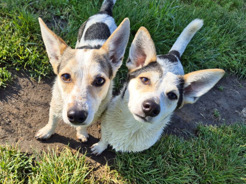 Mara & Max