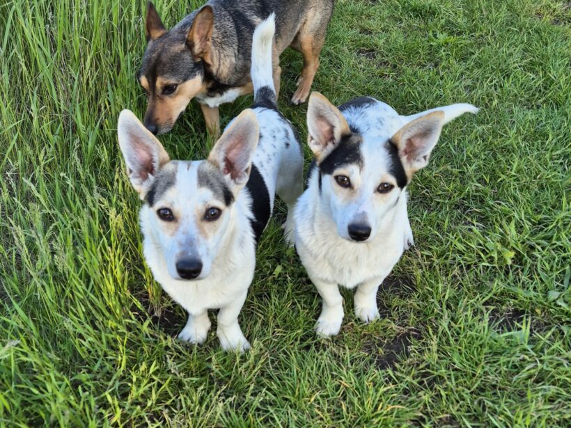 Mara & Max