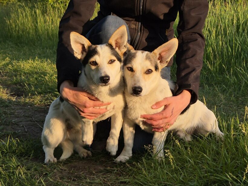 Mara & Max