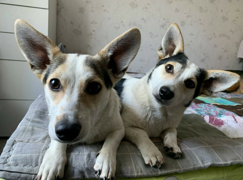 Mara & Max
