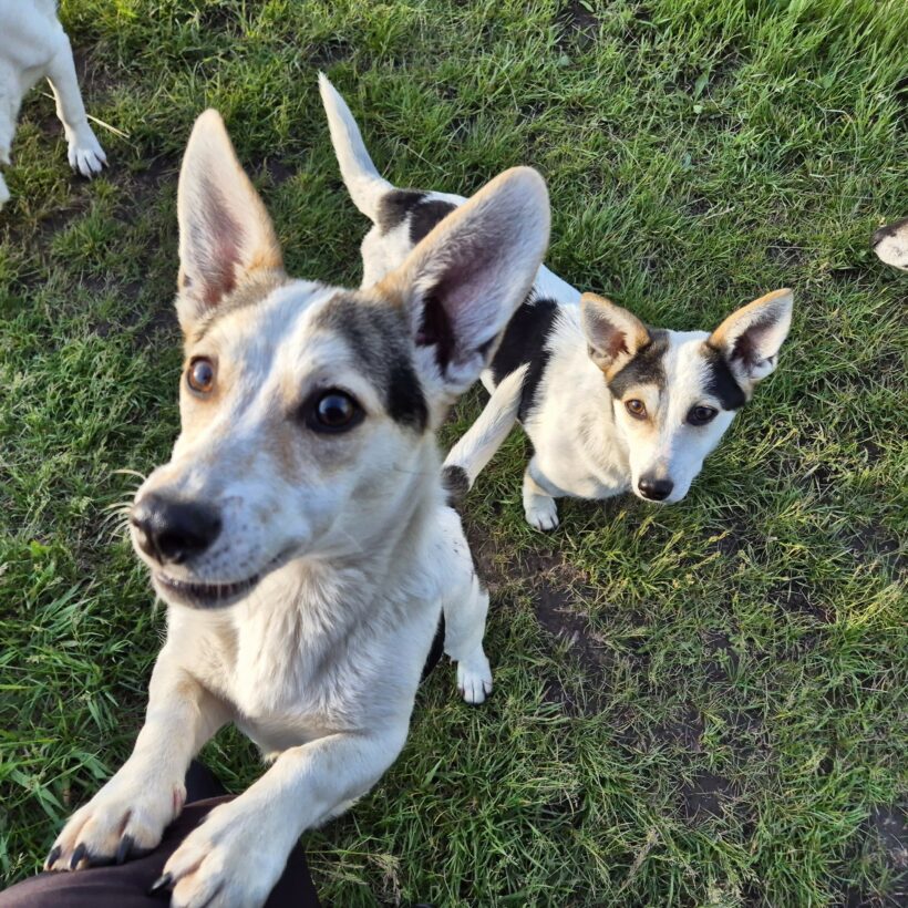 Mara & Max