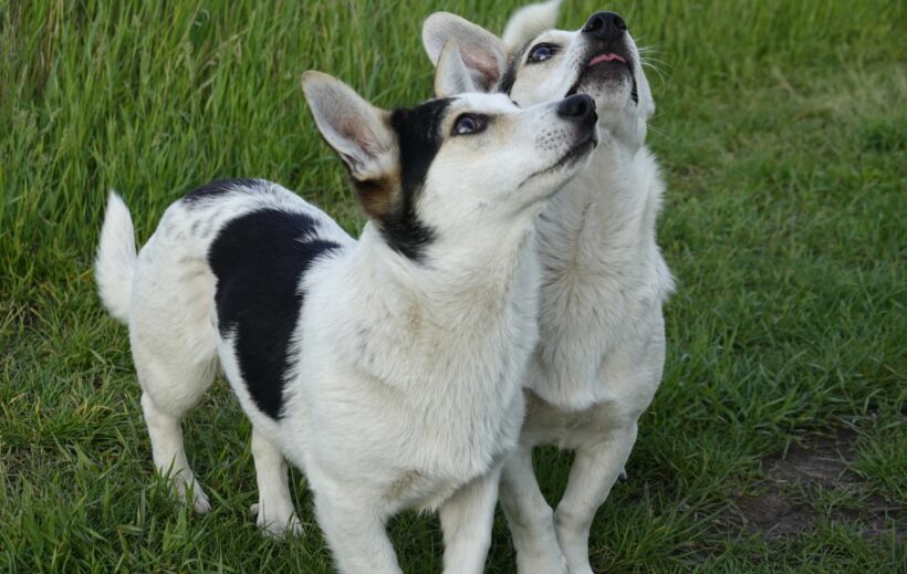 Mara & Max