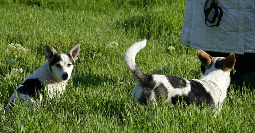 Mara & Max