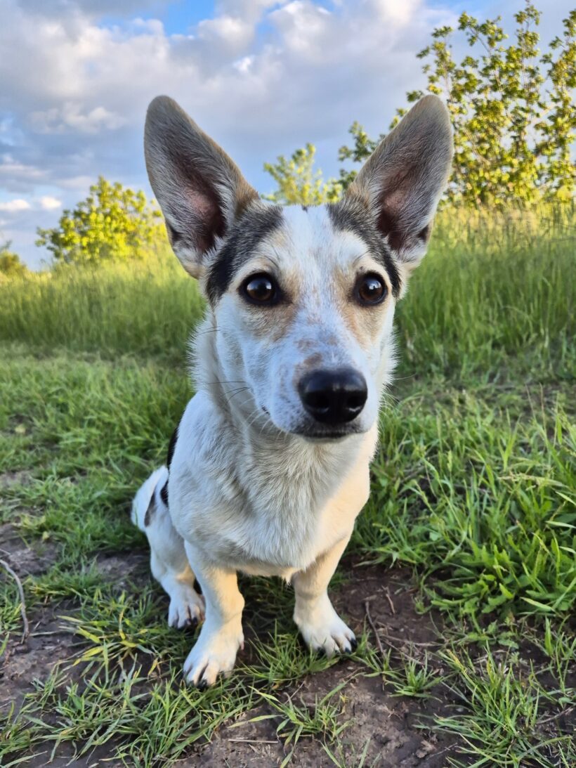 Mara & Max