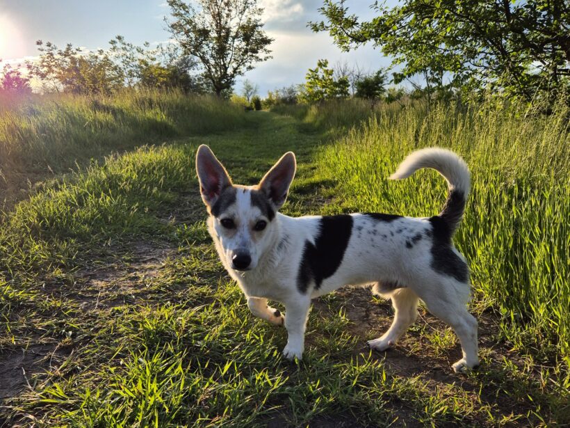 Mara & Max