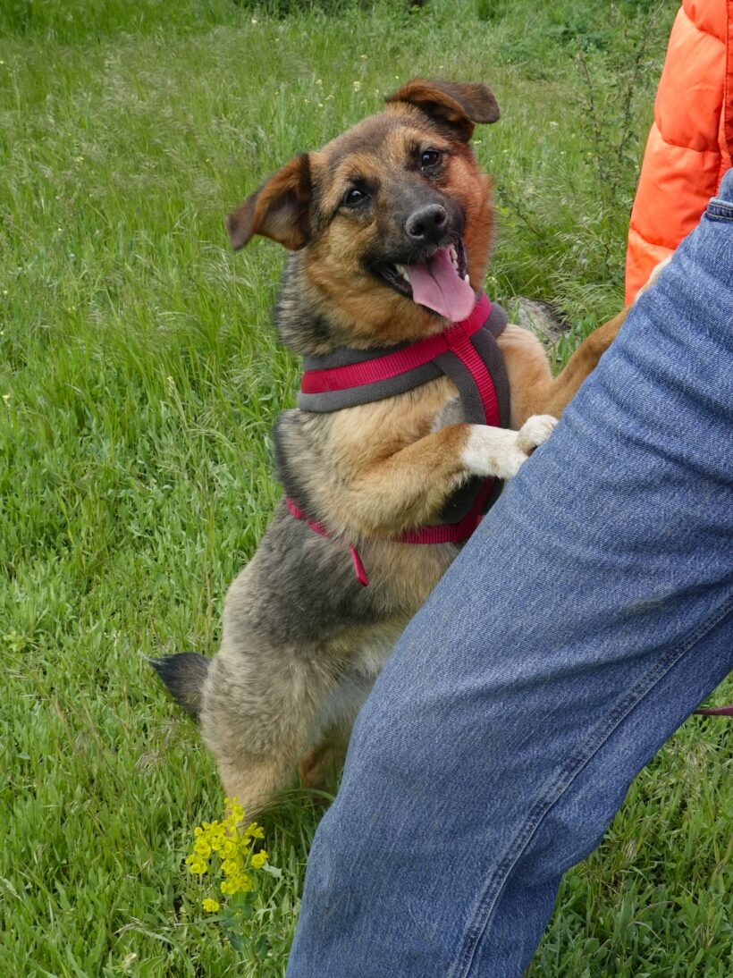 Ruby