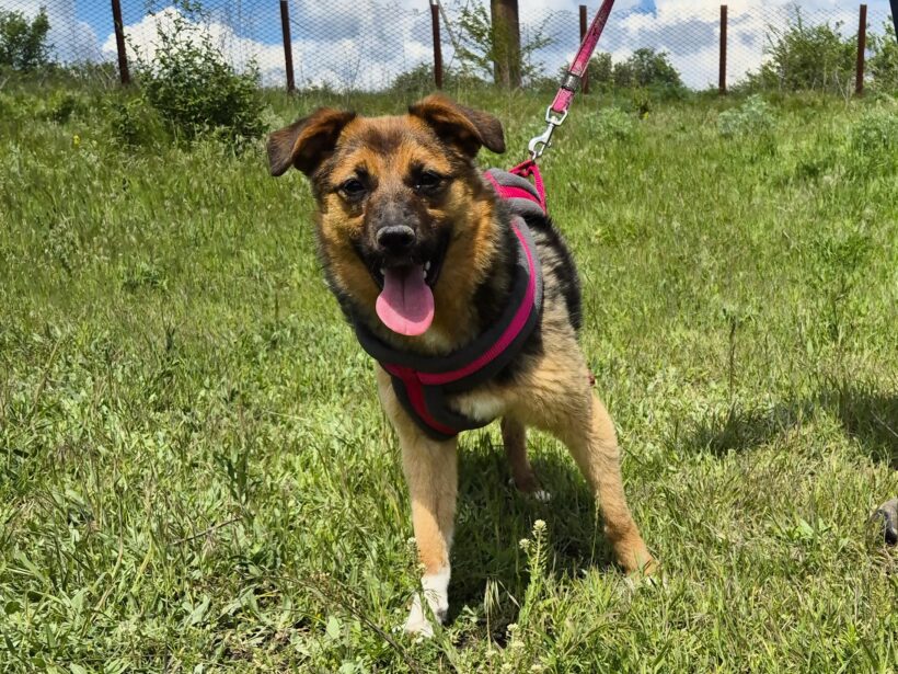 Ruby