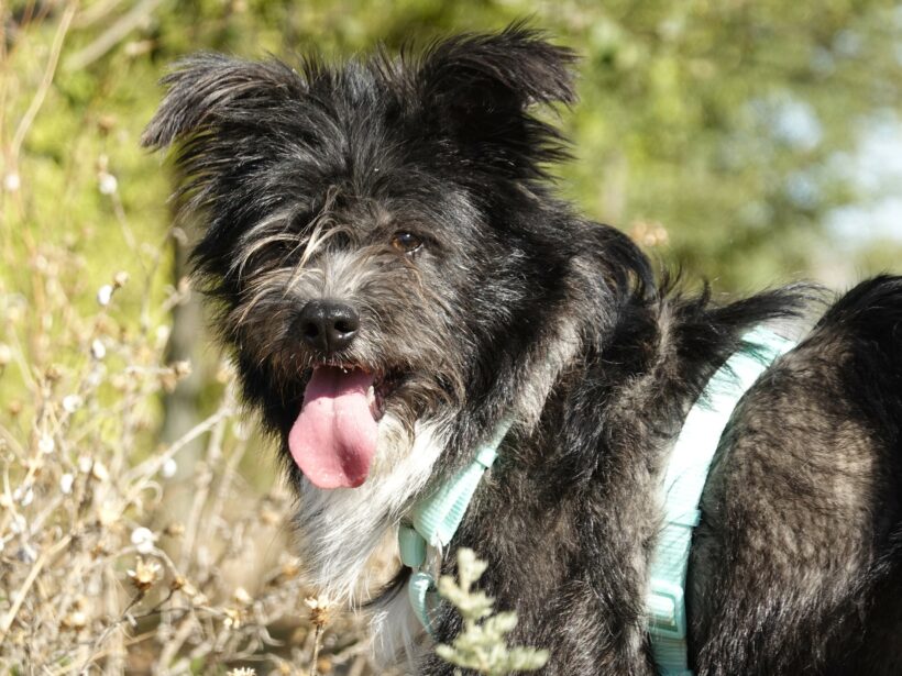 Stella (reserviert) Stella (reserviert)