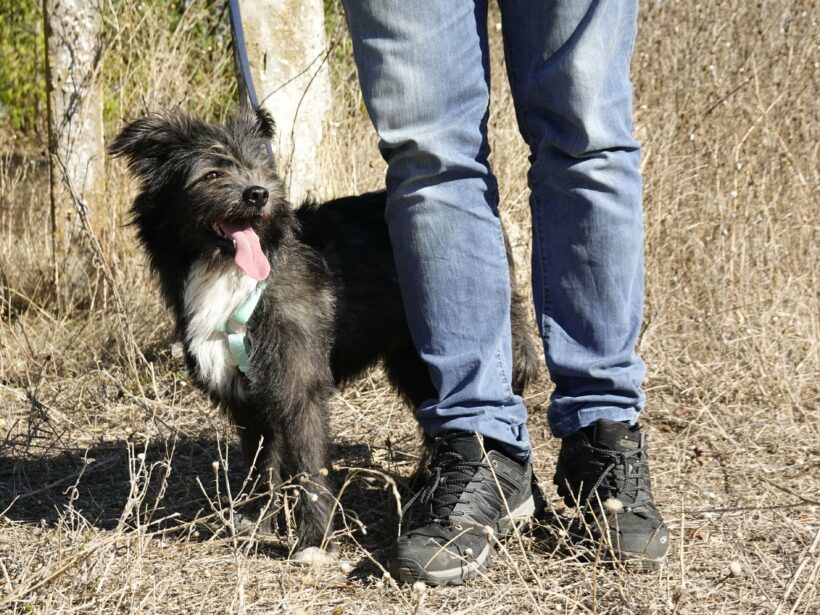 Stella (reserviert) Stella (reserviert)