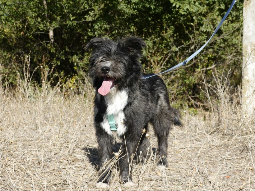 Stella (reserviert) Stella (reserviert)