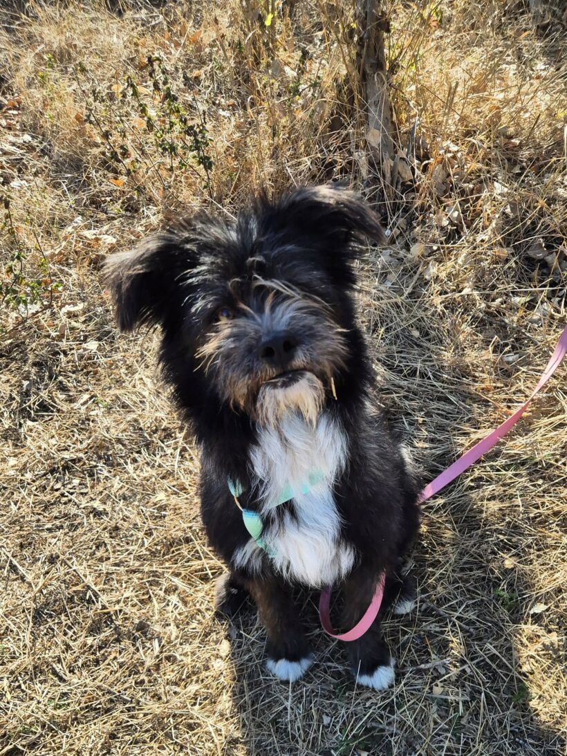 Stella (reserviert) Stella (reserviert)