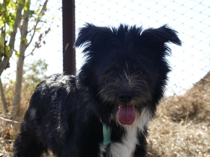 Stella (reserviert) Stella (reserviert)