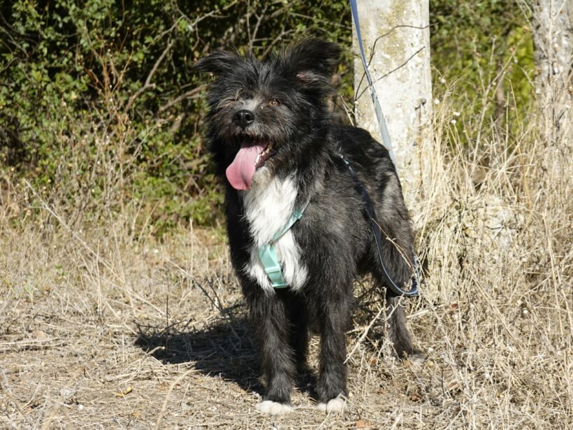 Stella (reserviert) Stella (reserviert)