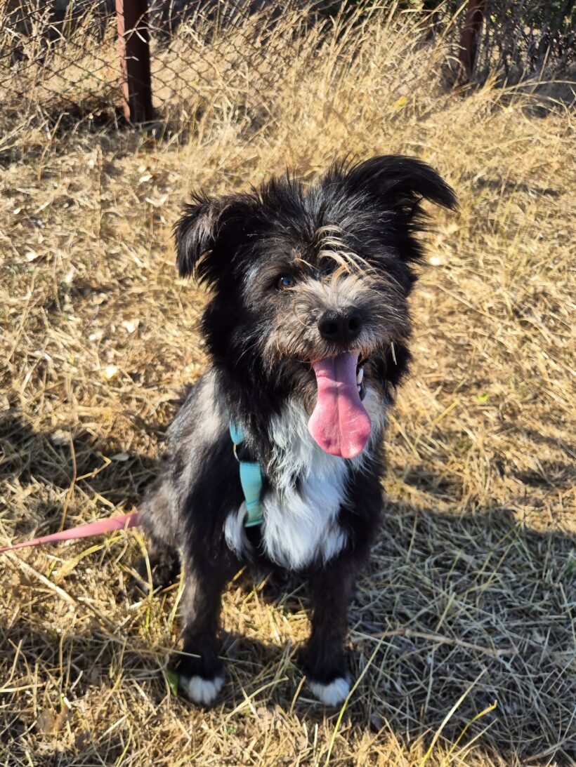 Stella (reserviert) Stella (reserviert)