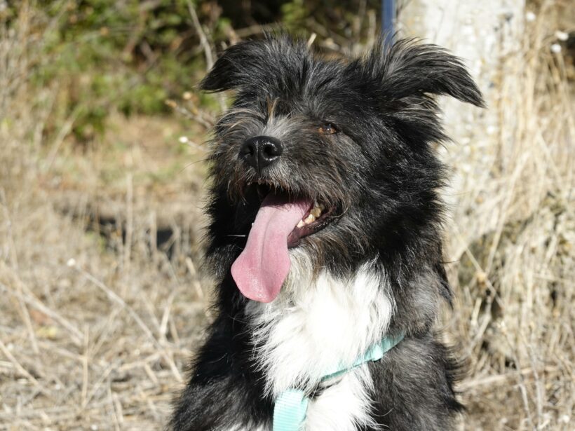 Stella (reserviert) Stella (reserviert)