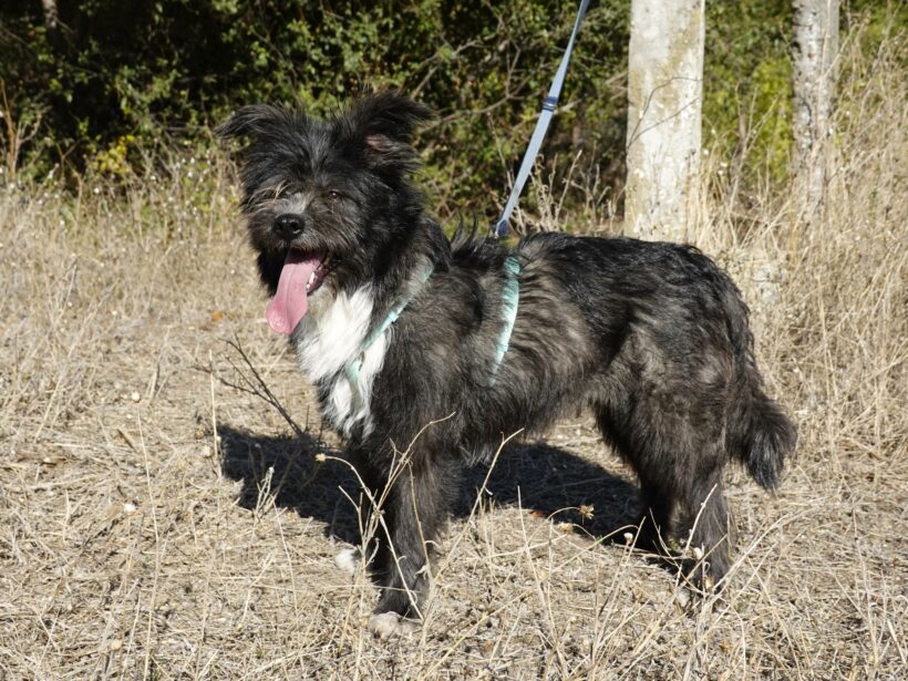 Stella (reserviert) Stella (reserviert)