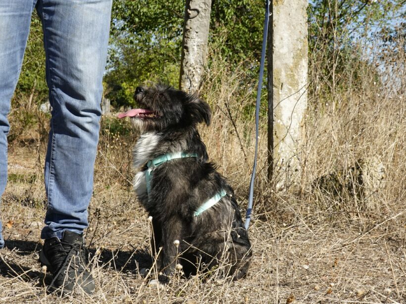 Stella (reserviert) Stella (reserviert)