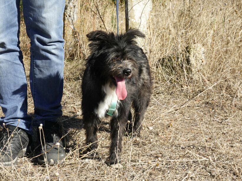 Stella (reserviert) Stella (reserviert)