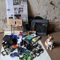 Engagement, das bewegt – Danke an Tillys Familie und den Pferdehof Wilhelm