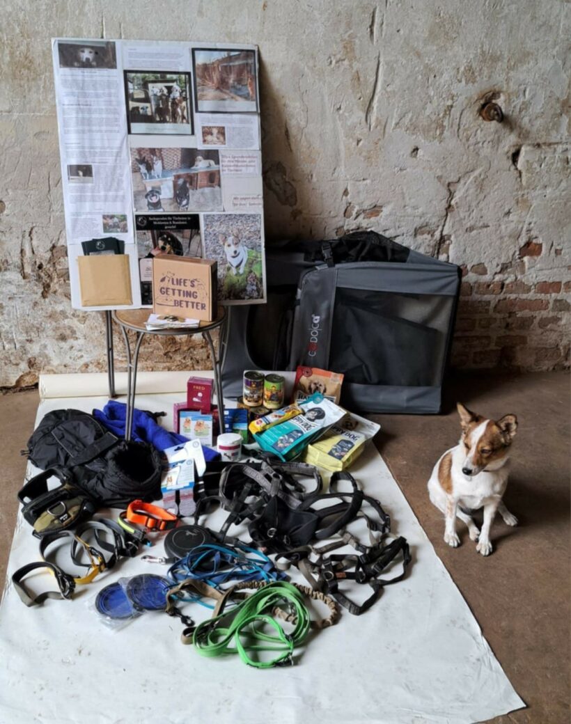 Engagement, das bewegt – Danke an Tillys Familie und den Pferdehof Wilhelm