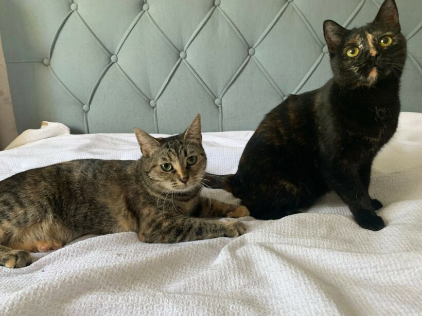 Jule & Leni