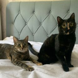 Jule & Leni