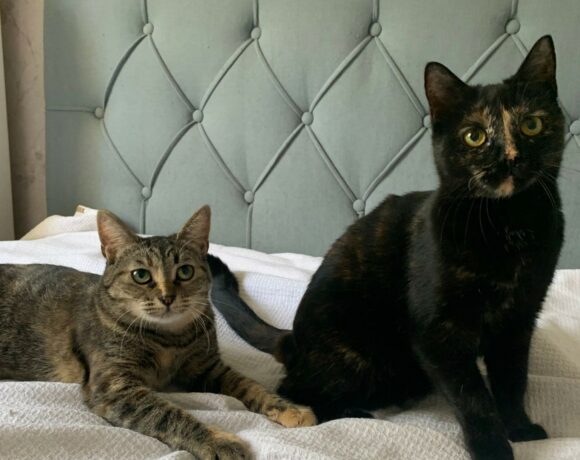 Jule & Leni