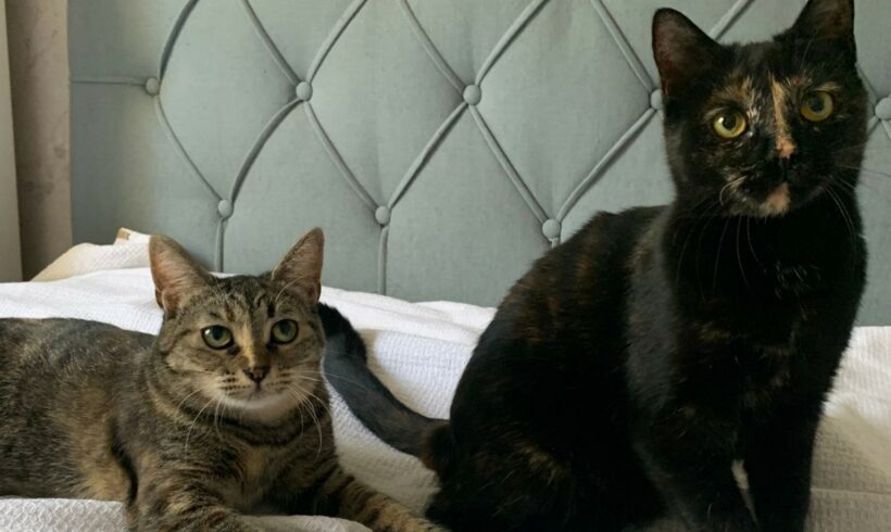 Jule & Leni