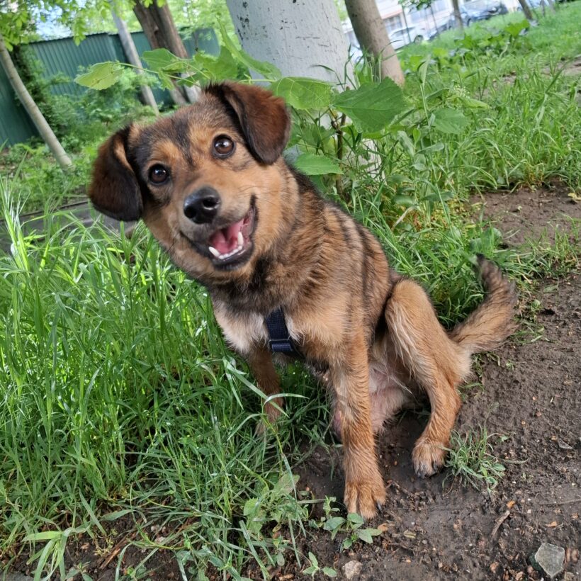 Charly