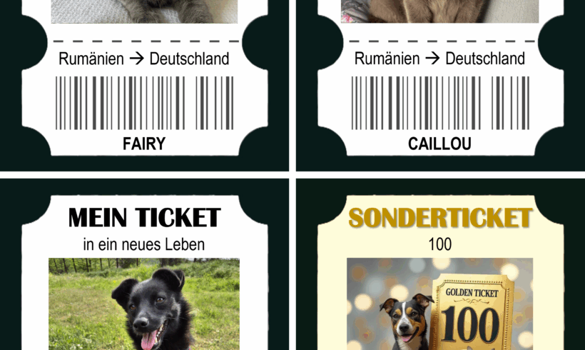 100 Happy Ends – und drei neue Reisegeschichten