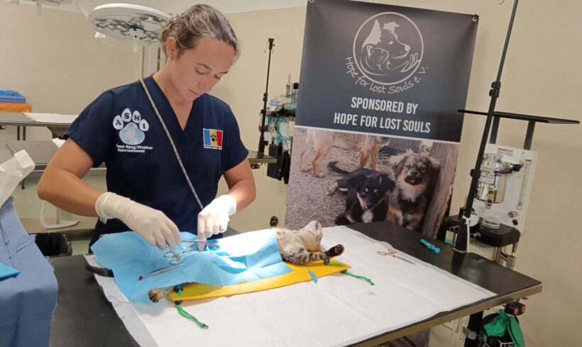 Gemeinsam für nachhaltigen Tierschutz – erfolgreiche Kastrationsaktion im Center of Hope