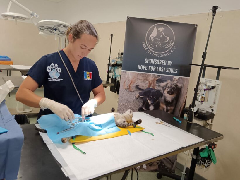 Gemeinsam für nachhaltigen Tierschutz – erfolgreiche Kastrationsaktion im Center of Hope