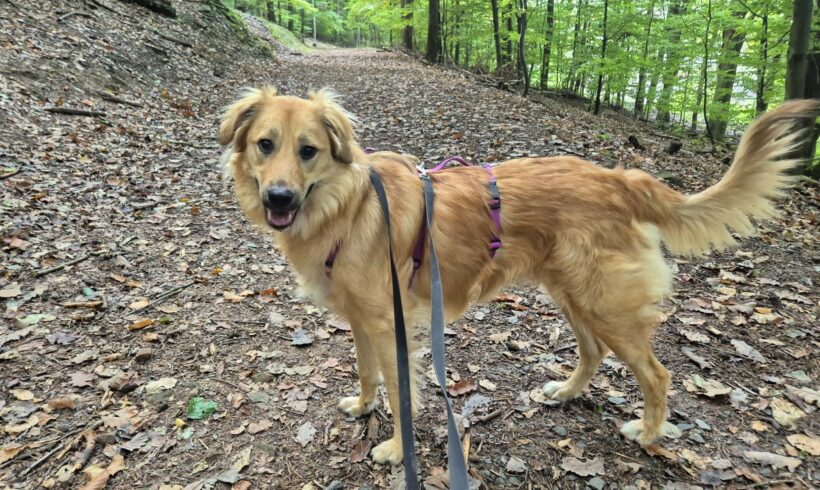 Endlich zuhause: Sally‘s Start in ein neues Leben voller Liebe und Abenteuer