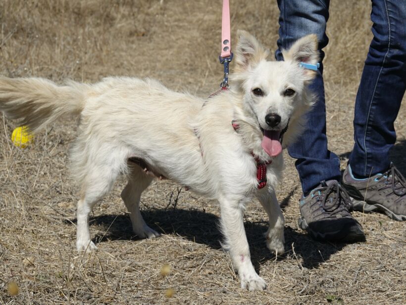 Yuki