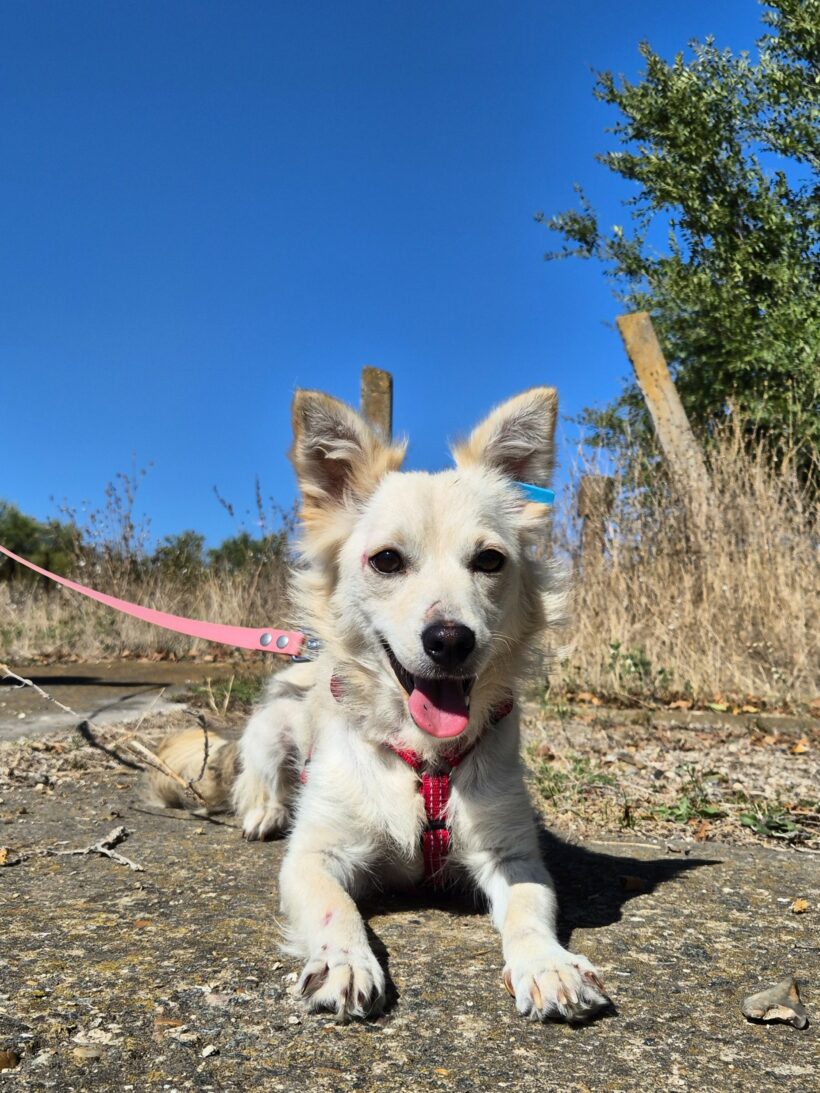 Yuki