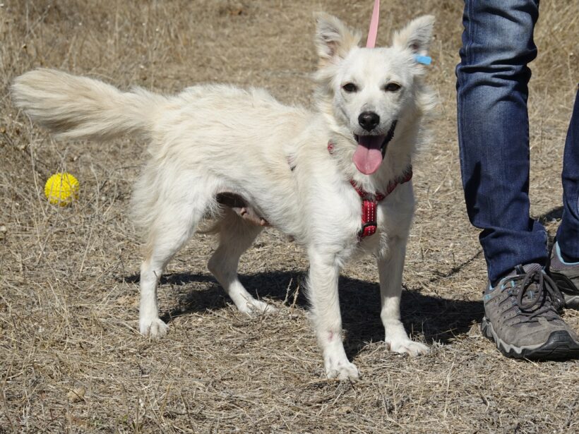 Yuki